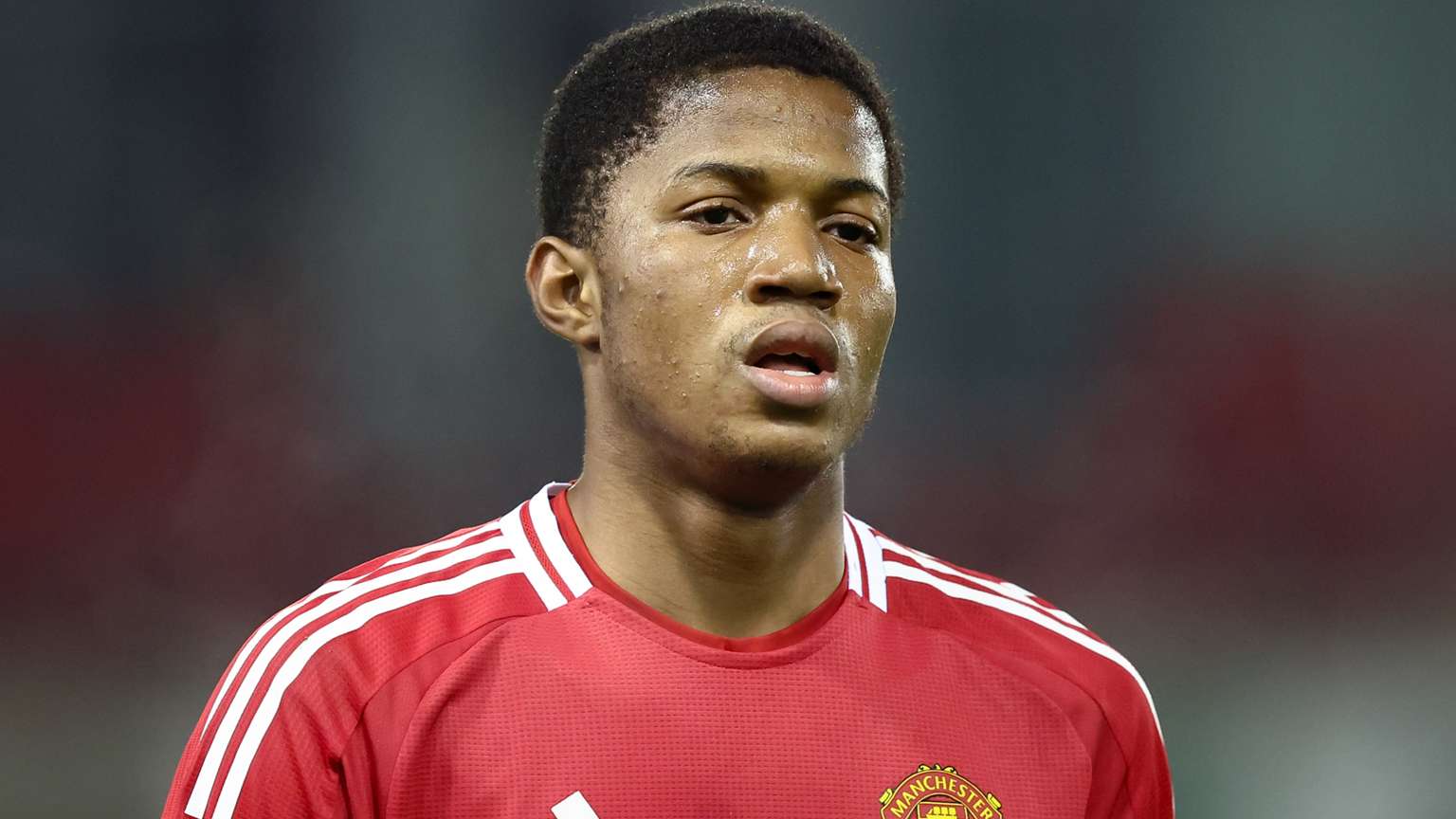 這支曾以鋼 這支曾以鋼